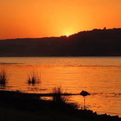 Bajadam Resort avatar